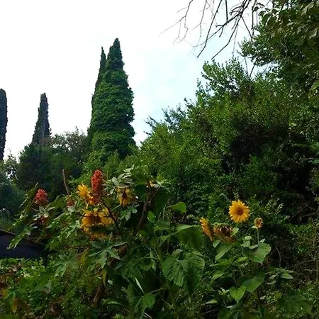 One Bedroom Appartement With Enclosed Garden And Wifi At Kontokali 3 Km Away From The Beach *